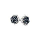14kt White Gold 2.30ct Black .34ct White Diamond Earring